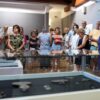 The Cres Museum Guided Tour