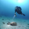 Try scuba diving program SSI