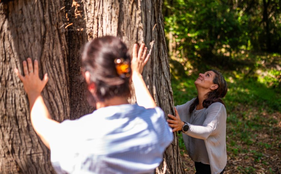 Forest bathing at the health resort of Veli Lošinj (6)