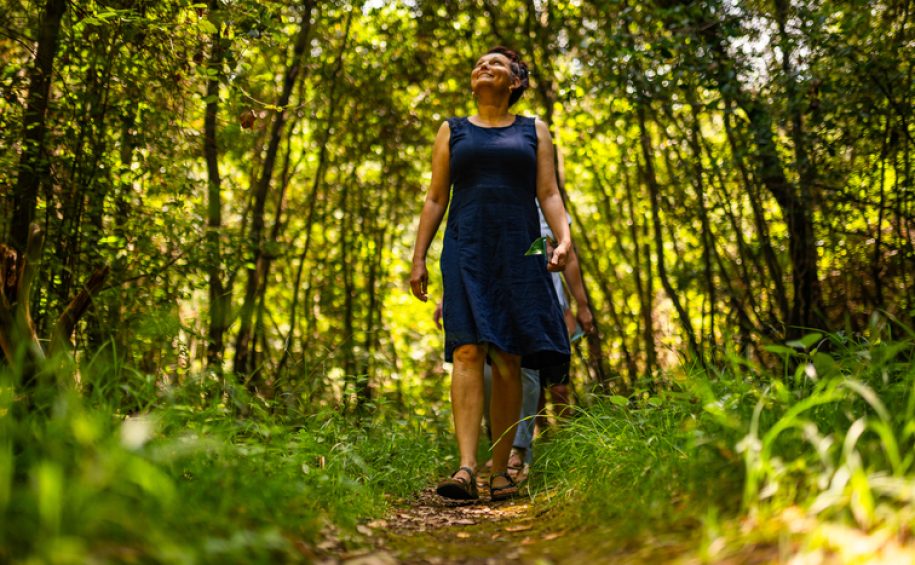 Forest bathing at the health resort of Veli Lošinj (8)