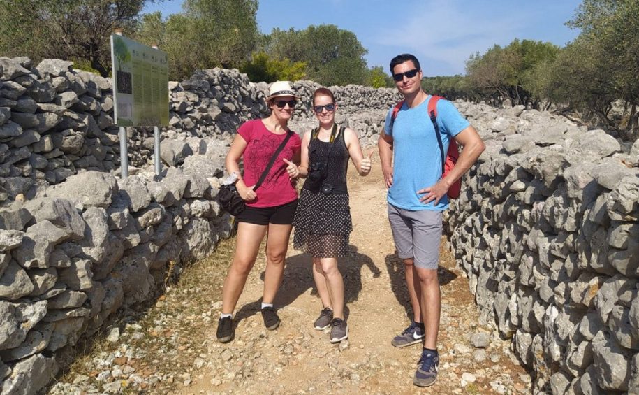 Olive Oil Tour with Tastings 1