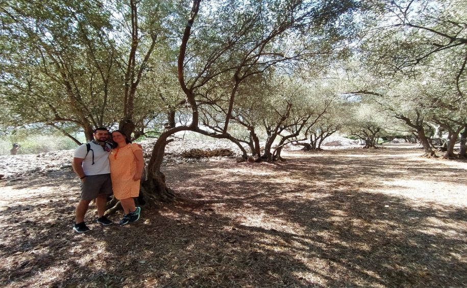 Olive Oil Tour with Tastings (3)