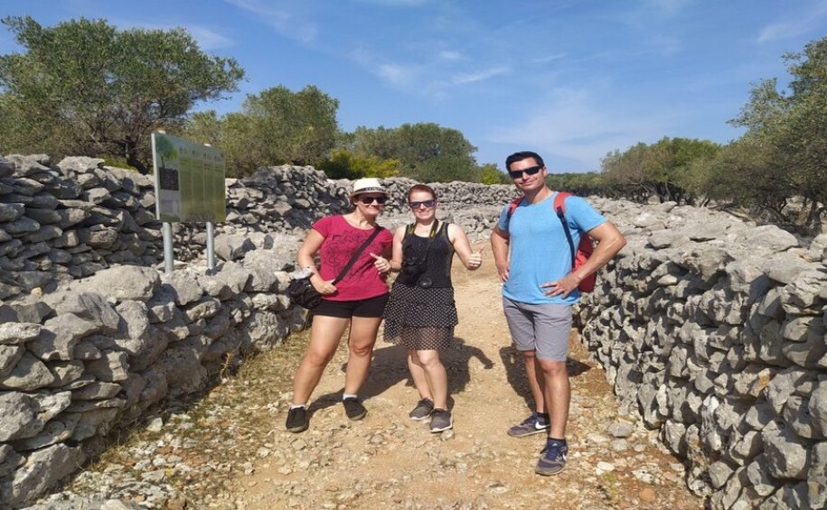 Olive Oil Tour with Tastings (4)