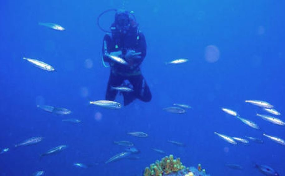 The discovery dive at Diving Mali Lošin 2