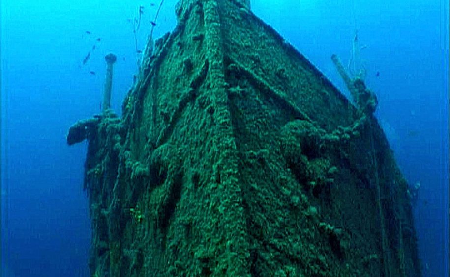 The discovery dive at Diving Mali Lošin 7